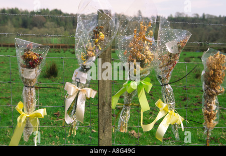 Bouquet di fiori a lato della strada che segna il luogo dove vi è stato un fatale incidente stradale Scozia UK Foto Stock