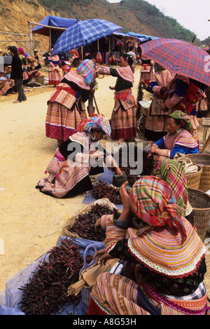 può cao mercato Foto Stock