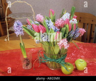 Bouquet con tulipani , giacinti e giacinti d'uva Foto Stock