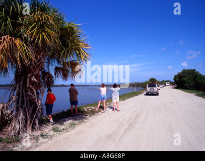 Ding Darling National Wildlife Refuge su Sanibel Island, Florida, Nord America. Foto Stock