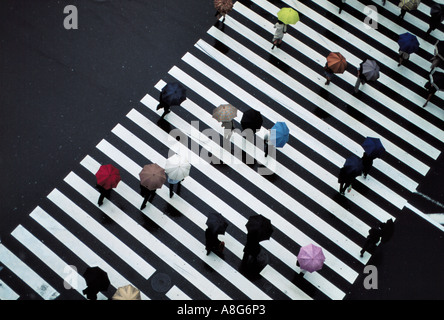 Persone con ombrelloni su attraversamento pedonale in intersezione, Ginza, Tokyo, Giappone Foto Stock
