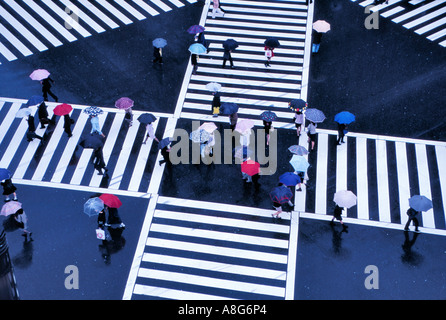 Persone con ombrelloni su attraversamento pedonale in intersezione, Ginza, Tokyo, Giappone Foto Stock