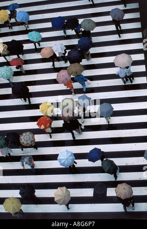 Persone con ombrelloni su attraversamento pedonale in intersezione, Ginza, Tokyo, Giappone Foto Stock