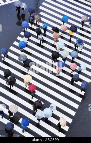 Persone con ombrelloni su attraversamento pedonale in intersezione, Ginza, Tokyo, Giappone Foto Stock