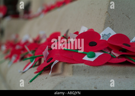 ANZAC Day sessantottesima Alba Cerimonia Commemorativa al Auckland War Memorial Museum di papavero Foto Stock