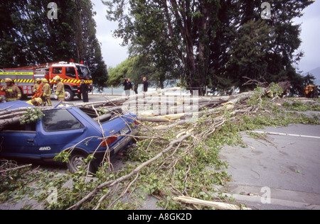 Una vettura schiacciata da un albero caduto dopo una burrasca Otago Queenstown Isola del Sud della Nuova Zelanda Foto Stock