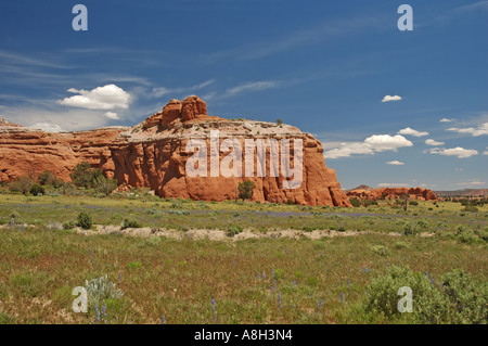 Altopiano di Kodachrome Basin Parco dello stato Foto Stock