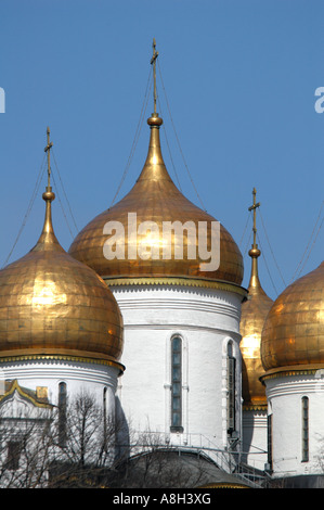 Cattedrale della Dormizione nel Cremlino di Mosca, Russia Foto Stock