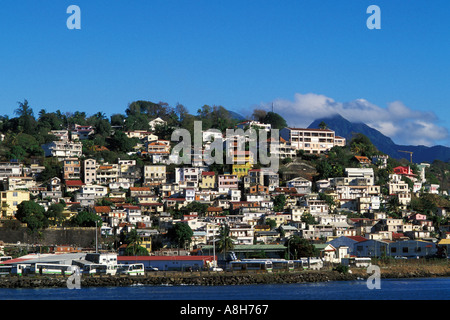 Grenada e St Georges, case su pendio Foto Stock