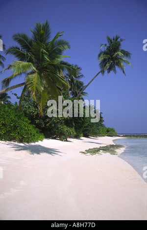 Tropical Island Paradise Beach sulle Maldive Foto Stock