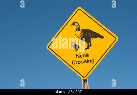 Nene attraversando segno contro il cielo blu a Haleakala Parco nazionale di Big Island delle Hawaii Foto Stock