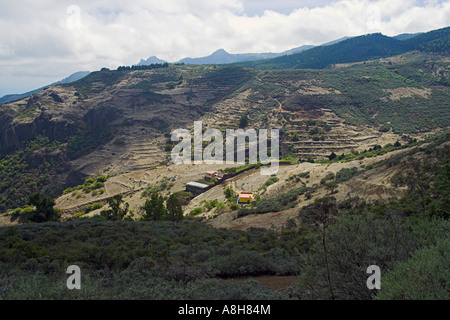 Gran Canaria montagne da Tejeda Berglandschaften bei Tejeda Foto Stock