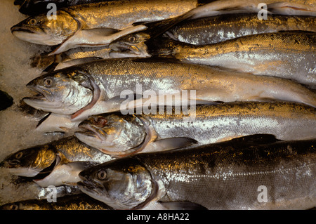 Freschi Salmone Argento display in Pike Place Market, Seattle, Washington, Stati Uniti d'America Foto Stock