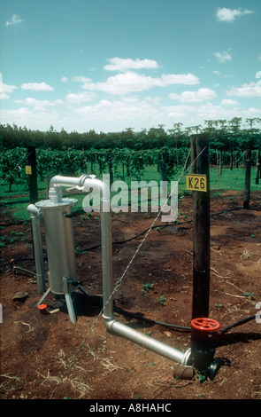 Serbatoi di fertirrigazione a servire la passione del frutteto su plantation Sud Africa Foto Stock