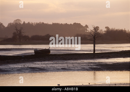 Acque di marea sul fiume Deben al crepuscolo Foto Stock