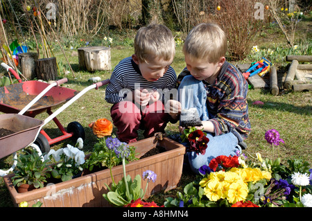 Cinque e sette anni i ragazzi sono piantare fiori in primavera Foto Stock