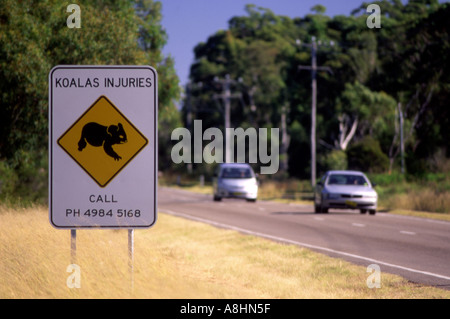 Avviso di strada segno raffigurante un koala Phascolarctos cinereus accanto a una strada rurale Australia Foto Stock