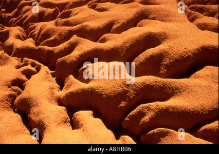 Abstract canali dettaglio tagliato nella Red outback suolo accanto a un alveo secco nell'outback australiano Foto Stock