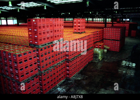 Casse impilate in una coca cola impianto di imbottigliamento al di fuori di Algeri Algeria 2000 Foto Stock