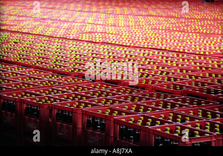 Casse impilate in una coca cola impianto di imbottigliamento al di fuori di Algeri Algeria 2000 Foto Stock