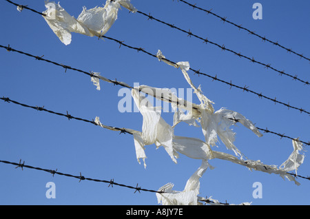 Frammenti di battente di plastica bianca catturata su e dilaniato da un recinto di filo spinato contro un profondo cielo blu Foto Stock