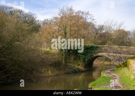 Ponte attraverso la foresta di picco Canal a Marple nei pressi di Stockport, Cheshire Foto Stock