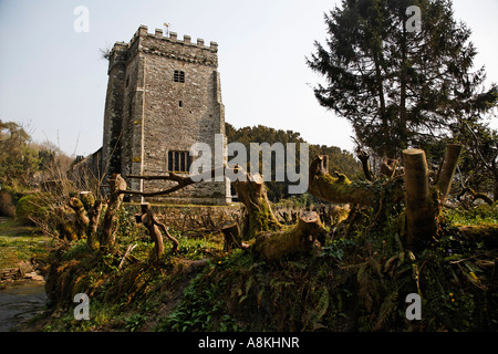 Nevern Chiesa Pembrokeshire West Wales Gran Bretagna UK Europa Foto Stock