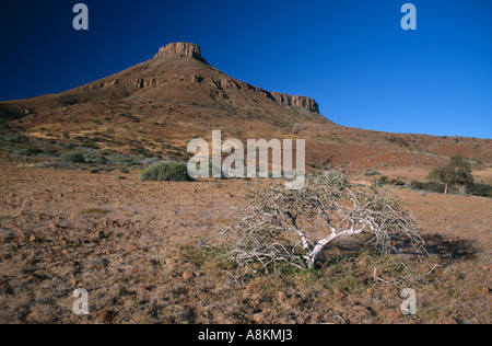 Paesaggio in Damaraland, Namibia. Foto Stock