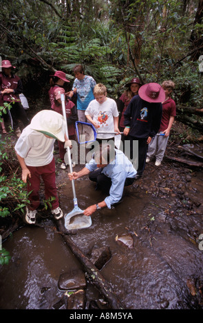 La qualità delle acque per la lezione schoolkids, Victoria, Australia Foto Stock