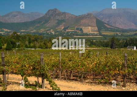 Il bellissimo paesaggio della Valle di Franschhoek area vinicola del Sud Africa Foto Stock