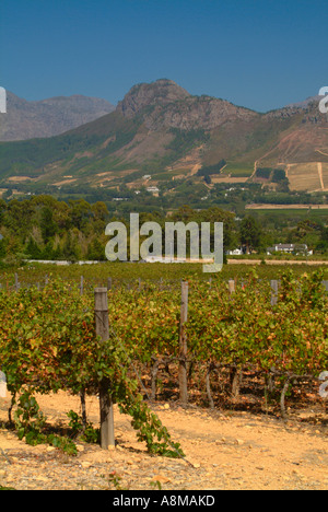 Il bellissimo paesaggio della Valle di Franschhoek area vinicola del Sud Africa Foto Stock