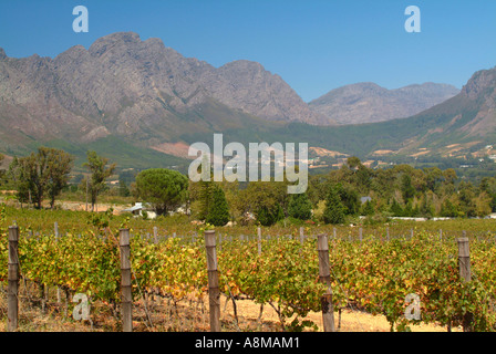 Il bellissimo paesaggio della Valle di Franschhoek area vinicola del Sud Africa Foto Stock