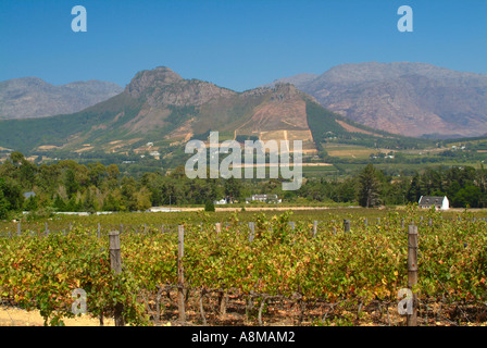 Il bellissimo paesaggio della Valle di Franschhoek area vinicola del Sud Africa Foto Stock