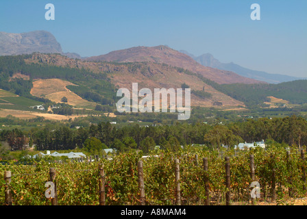 Il bellissimo paesaggio della Valle di Franschhoek area vinicola del Sud Africa Foto Stock