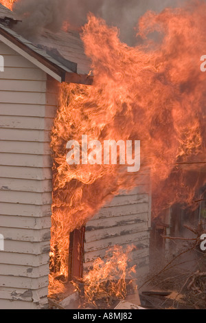 Le fiamme con la ripresa di una casa sul fuoco Foto Stock