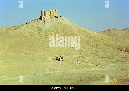 Qala a Ibn Maan - Palmyra, Siria Foto Stock