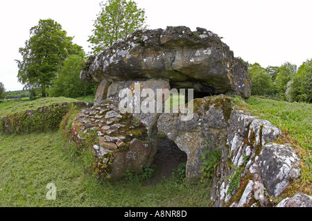 Tinkinswood camera sepolcrale di San Nicola, South Glamorgan, Wales, Regno Unito Foto Stock