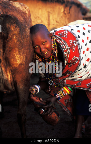 Maasai donna vacca di mungitura in villaggio Masai Mara, Kenya Foto Stock