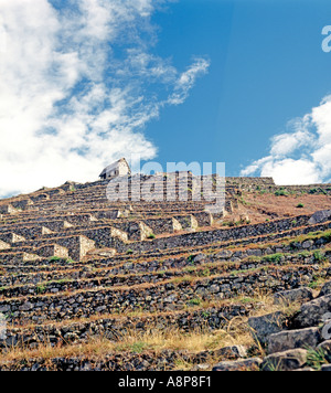 Terrazze di Machu Picchu in Perù Foto Stock