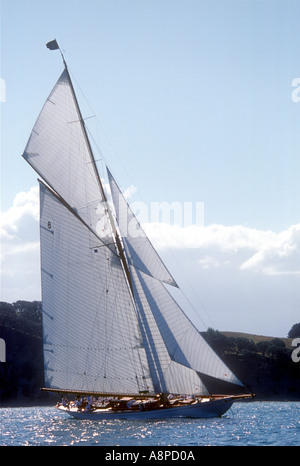 Moonbeam IV nella prima gara della International Classic Yacht Regatta 2003 Auckland Nuova Zelanda Foto Stock