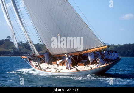 Moonbeam IV nella prima gara della International Classic Yacht Regatta 2003 Auckland Nuova Zelanda Foto Stock