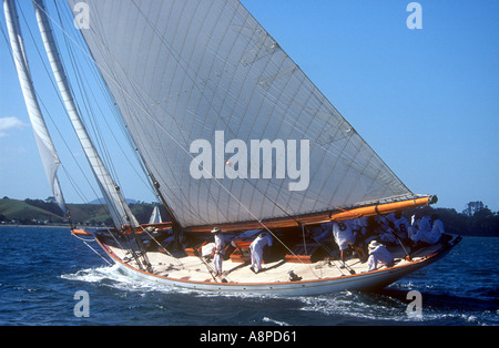 Moonbeam IV nella prima gara della International Classic Yacht Regatta 2003 Auckland Nuova Zelanda Foto Stock