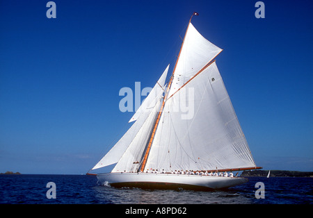 Moonbeam IV nella prima gara della International Classic Yacht Regatta 2003 Auckland Nuova Zelanda Foto Stock