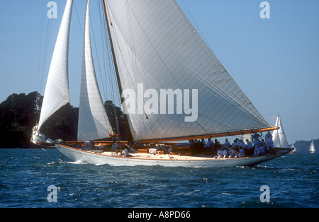 Moonbeam IV nella prima gara della International Classic Yacht Regatta 2003 Auckland Nuova Zelanda Foto Stock