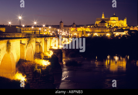 - Cattedrale Mezquita di Cordova, Andalusia, Spagna Foto Stock