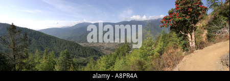 Il Bhutan Paro valley panoramic Foto Stock