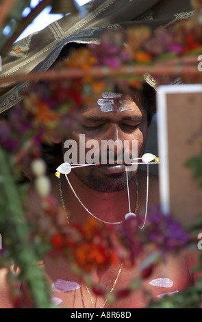 Festival indù di thaipusam cavadee Foto Stock