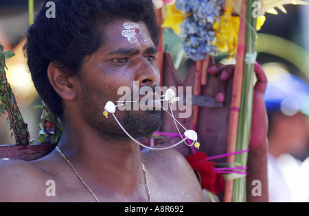 Festival indù di thaipusam cavadee Foto Stock