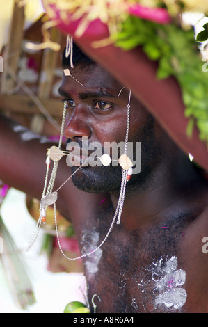 Festival indù di thaipusam cavadee Foto Stock