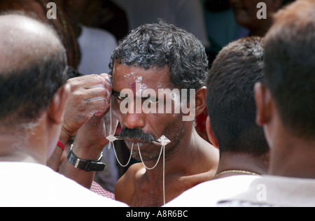 Festival indù di thaipusam cavadee Foto Stock